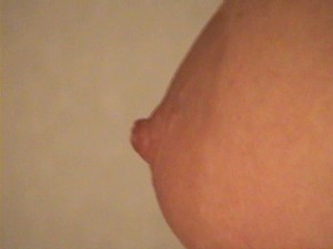 Lacey 29